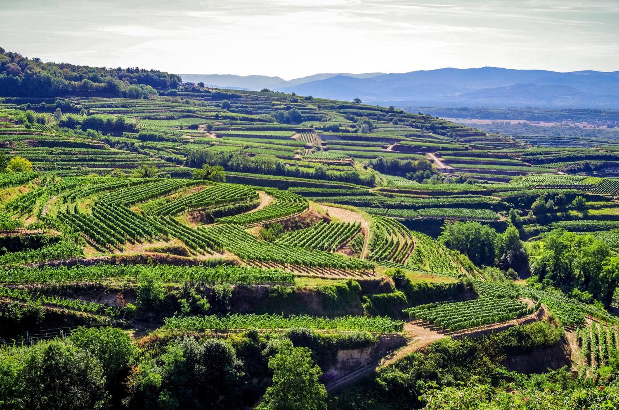Dreilaendereck Am Kaiserstuhl Wasenweiler Экстерьер фото